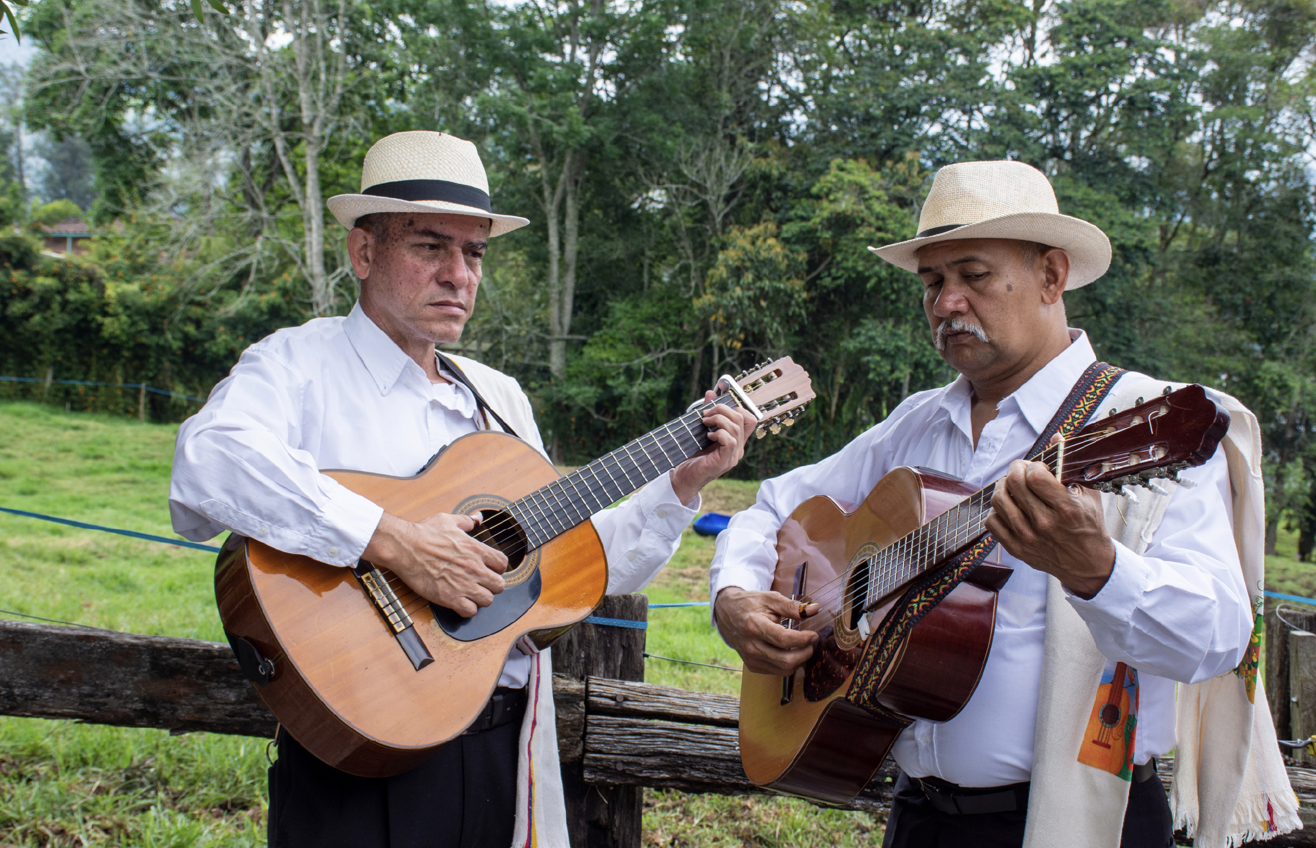 Noche de Trova y Cuentería