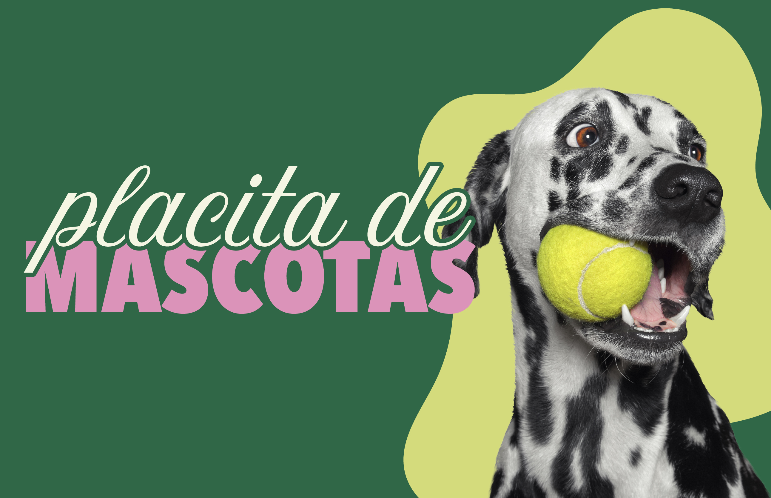 Placita de Mascotas