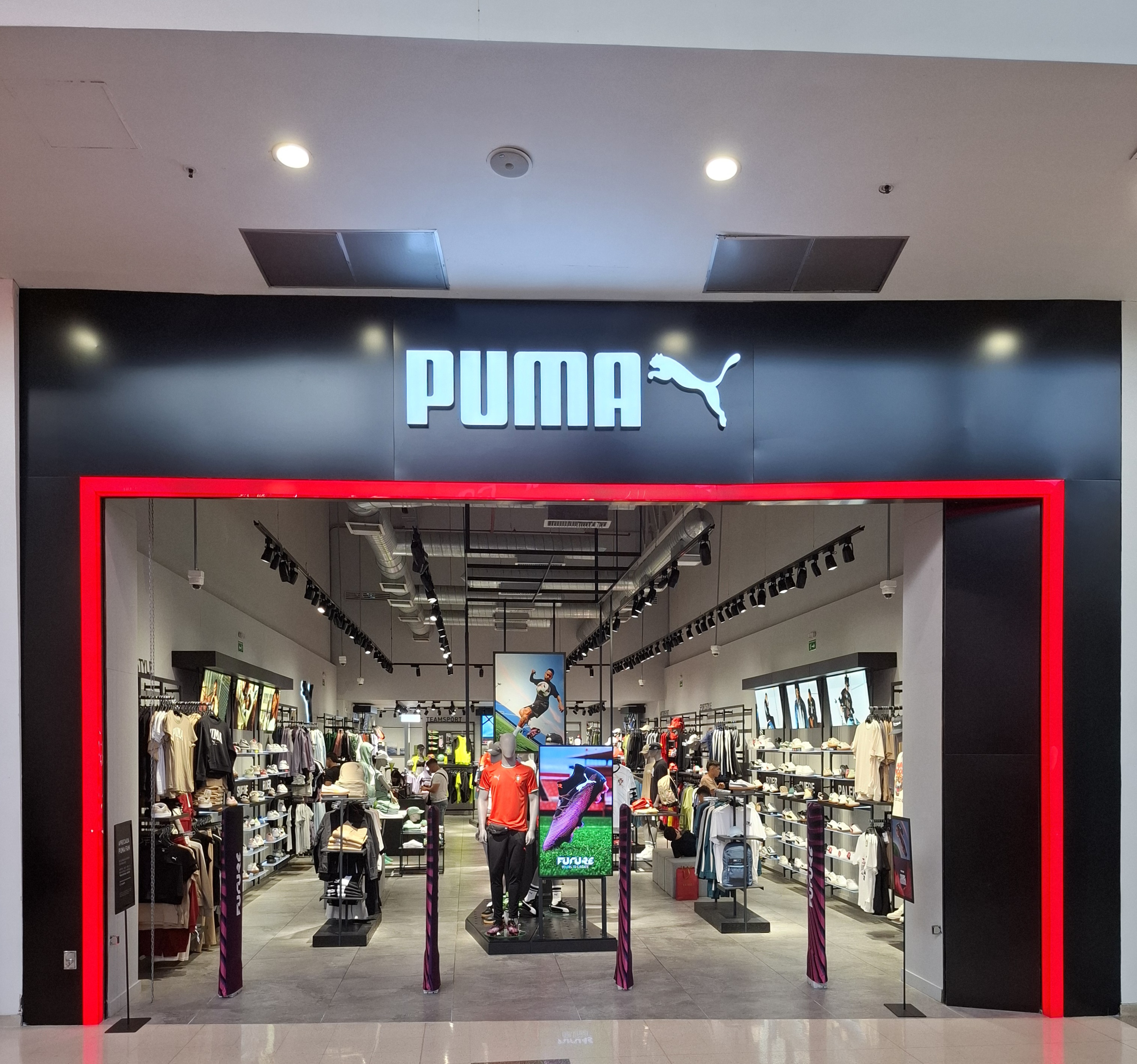 puma