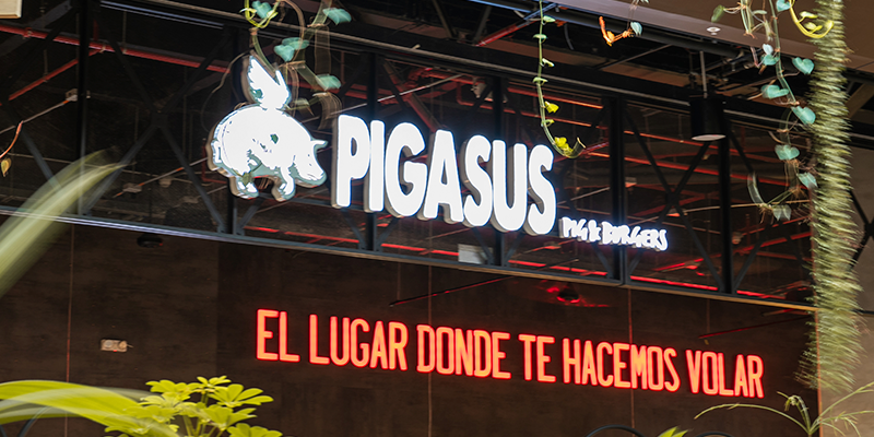 Pigasus